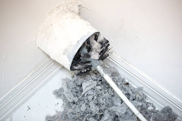 Best Air Duct Sanitizing Services  in Layhill, MD